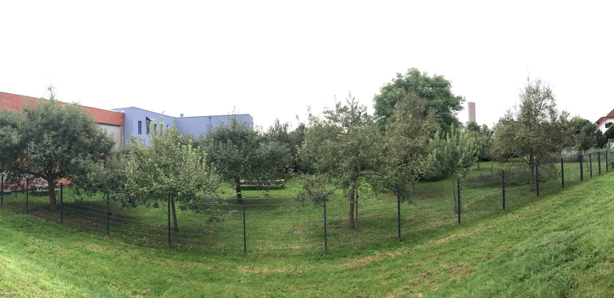 Streuobstwiese